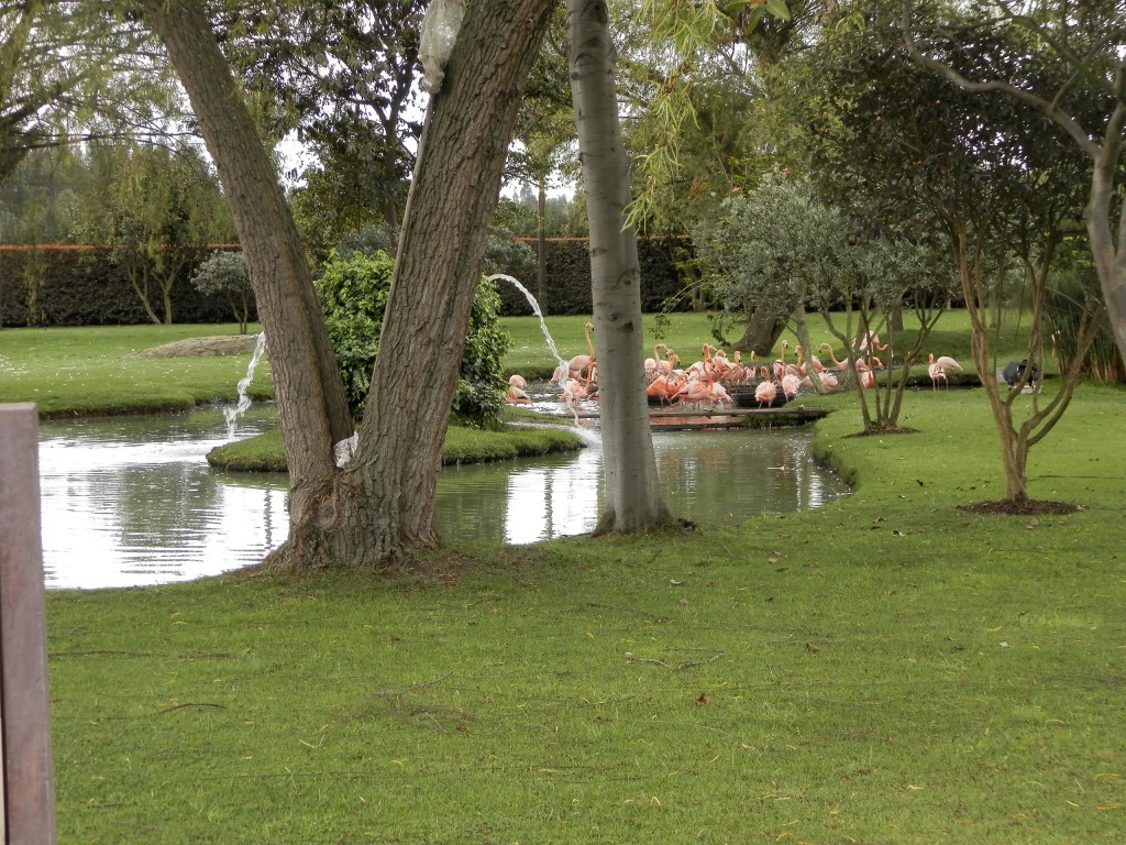 Foto: Parque Jaime Duque - Bogotá, Colombia