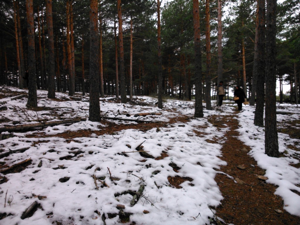 Foto de Ortigosa del Monte (Segovia), España