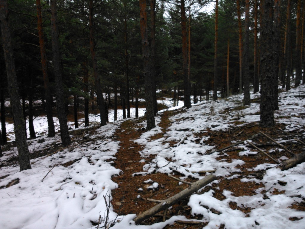 Foto de Ortigosa del Monte (Segovia), España