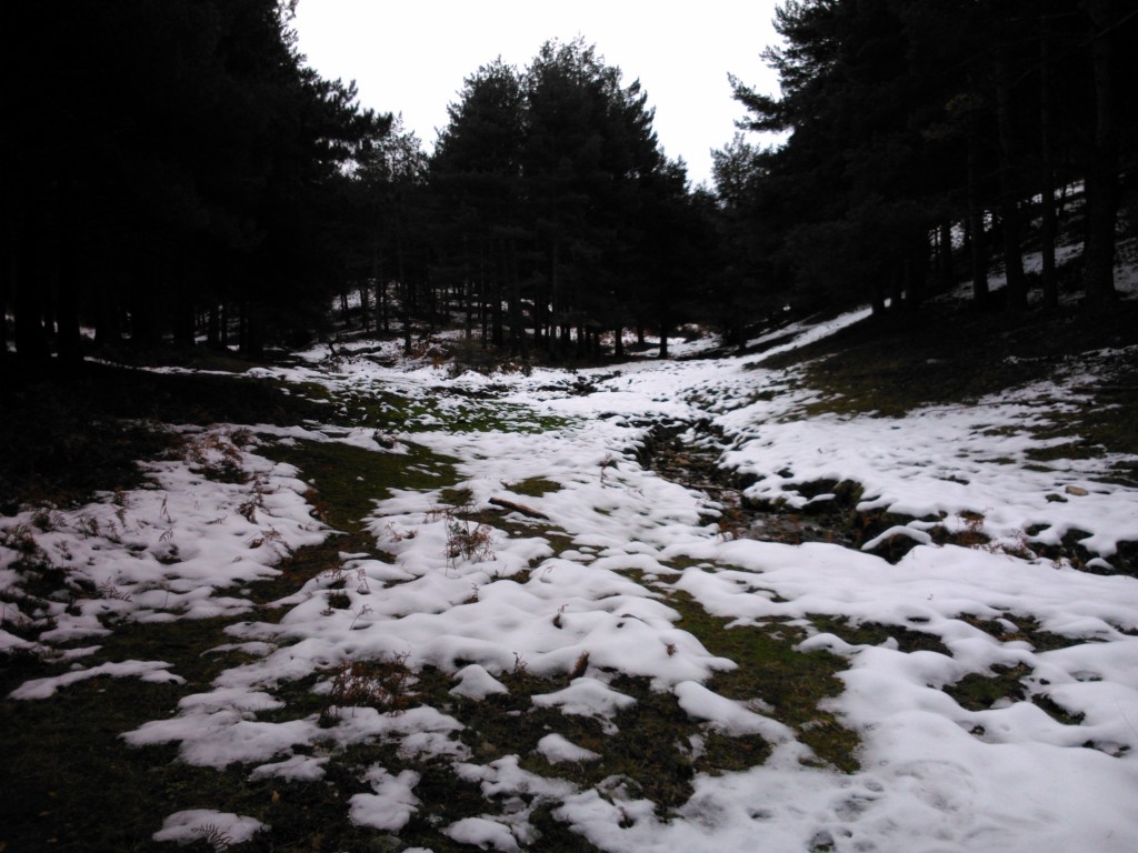 Foto de Ortigosa del Monte (Segovia), España