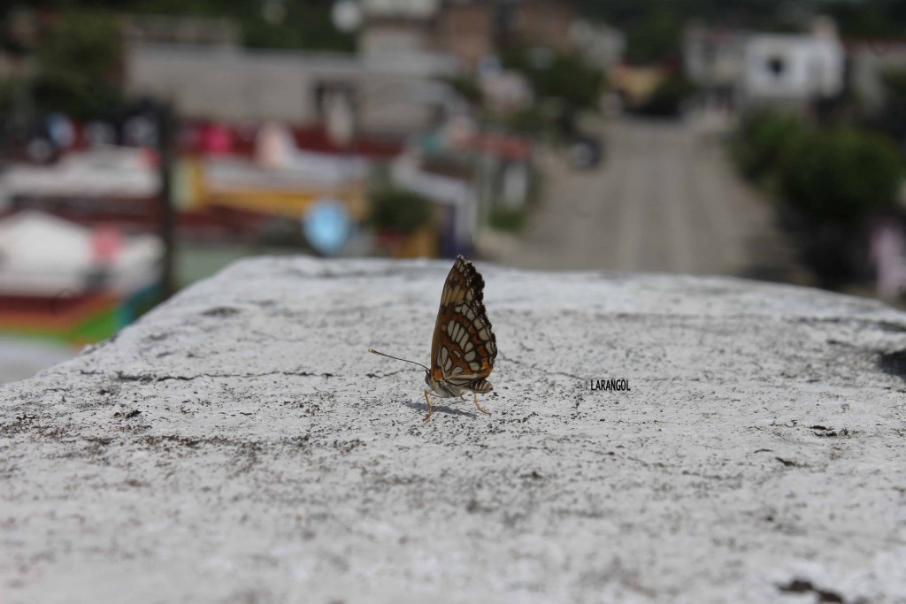 Foto de Tapachula (Chiapas), México