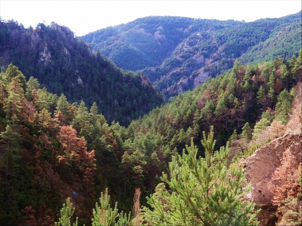 Foto: Camí dels Bons Homes - Gósol (Lleida), España