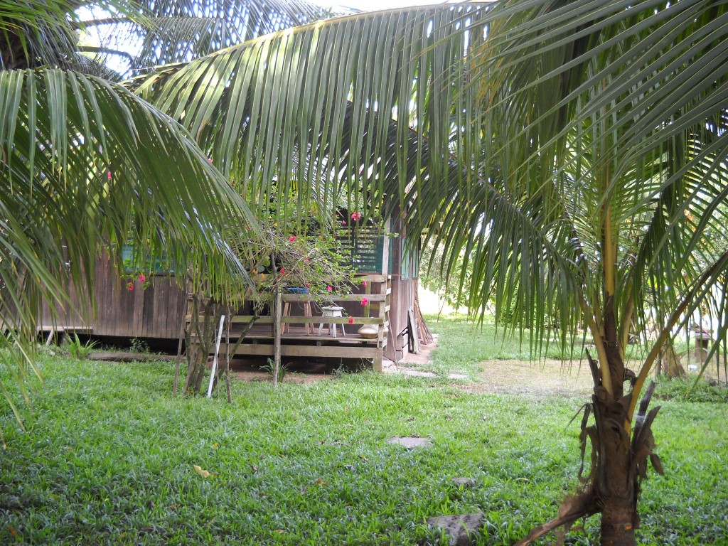 Foto: Fundo Sara - Pucallpa (Ucayali), Perú