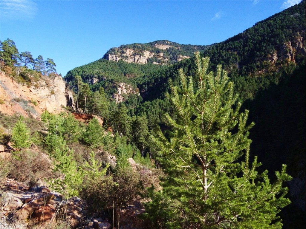Foto: Camí dels Bons Homes - Gósol (Lleida), España