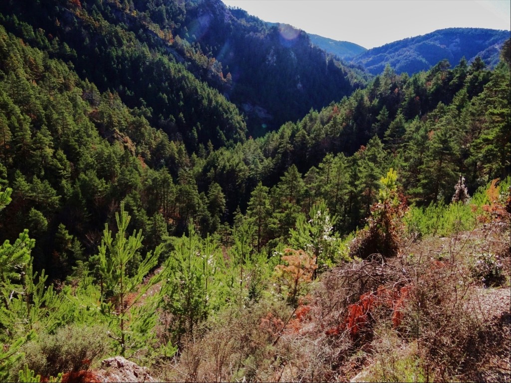 Foto: Camí dels Bons Homes - Gósol (Lleida), España