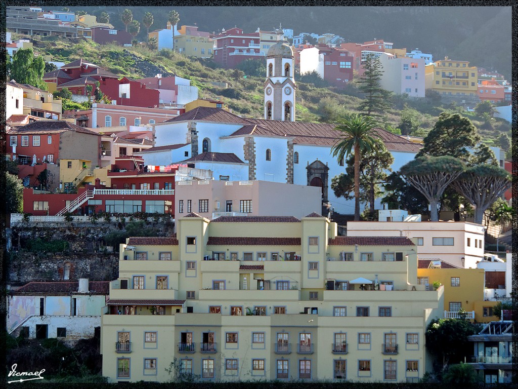 Foto: 131219-307 REALEJOS, PASEO - Tenerife (Santa Cruz de Tenerife), España