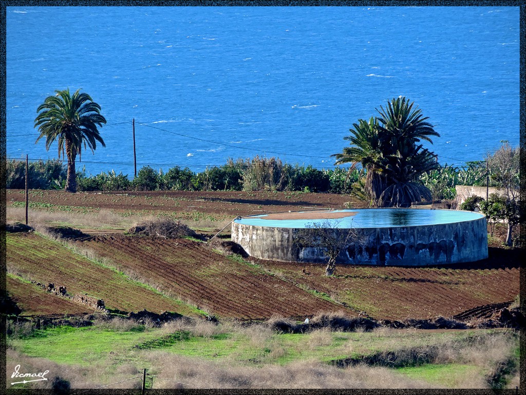 Foto: 131219-310 REALEJOS, PASEO - Tenerife (Santa Cruz de Tenerife), España