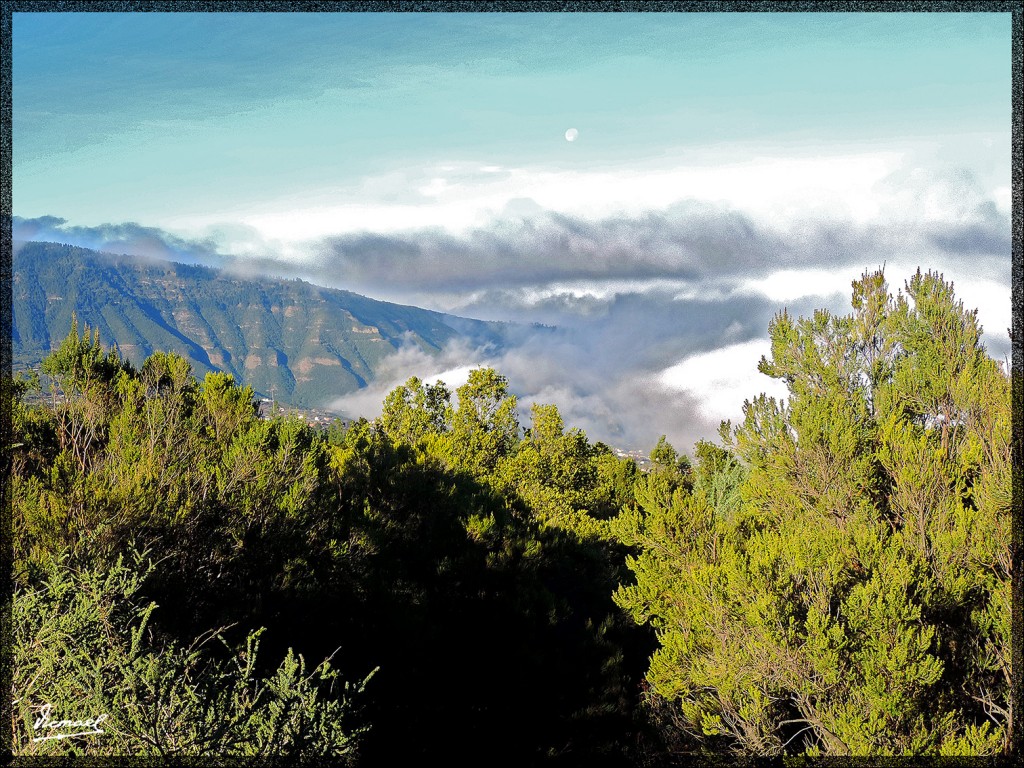 Foto: 131220-008 TEIDE - Tenerife (Santa Cruz de Tenerife), España