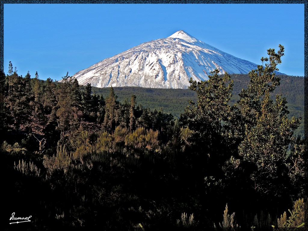 Foto: 131220-012 TEIDE - Tenerife (Santa Cruz de Tenerife), España