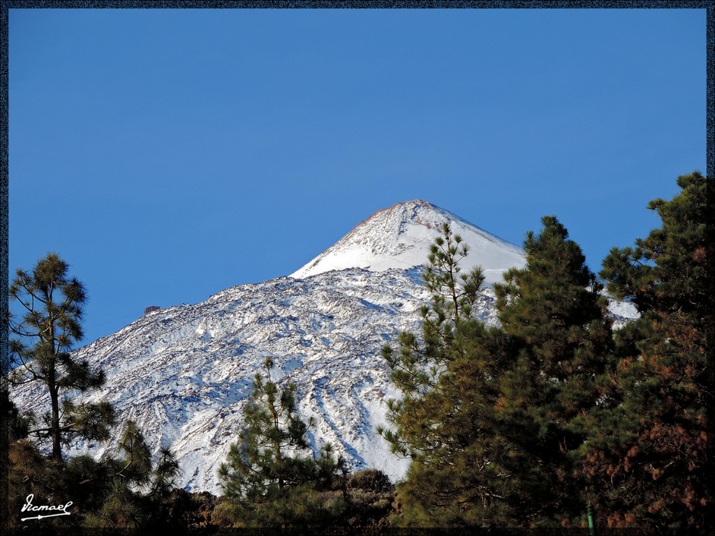 Foto: 131220-022 TEIDE - Tenerife (Santa Cruz de Tenerife), España