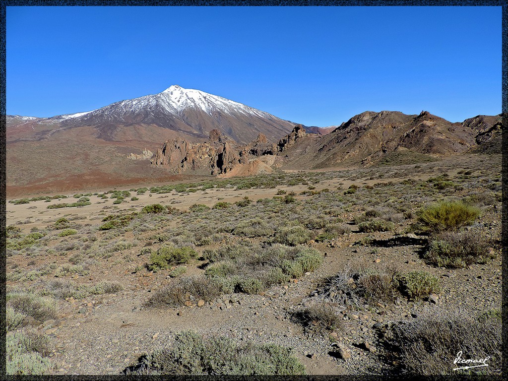 Foto: 131220-042 TEIDE - Tenerife (Santa Cruz de Tenerife), España