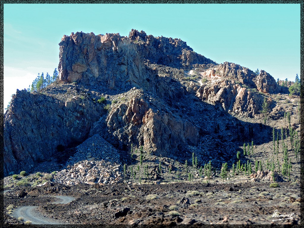 Foto: 131220-071 TEIDE - Tenerife (Santa Cruz de Tenerife), España