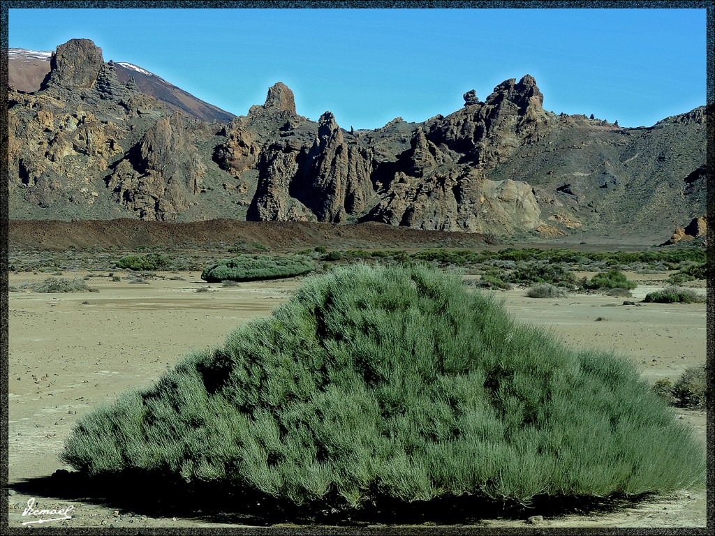 Foto: 131220-093 TEIDE - Tenerife (Santa Cruz de Tenerife), España