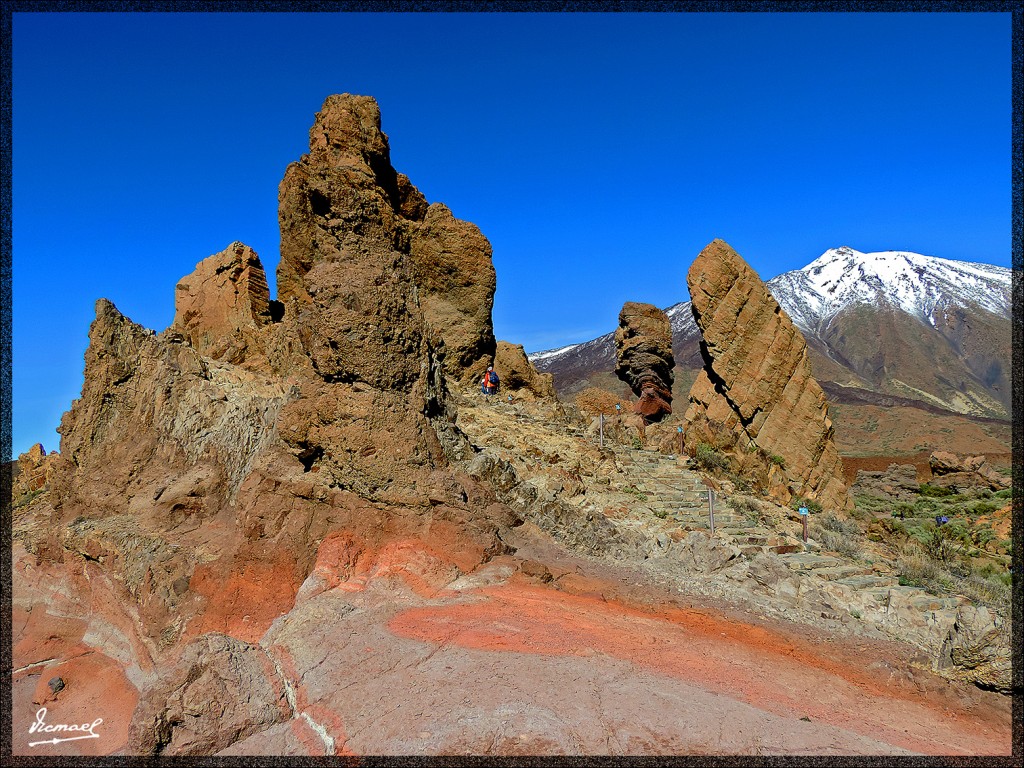 Foto: 131220-108 TEIDE - Tenerife (Santa Cruz de Tenerife), España
