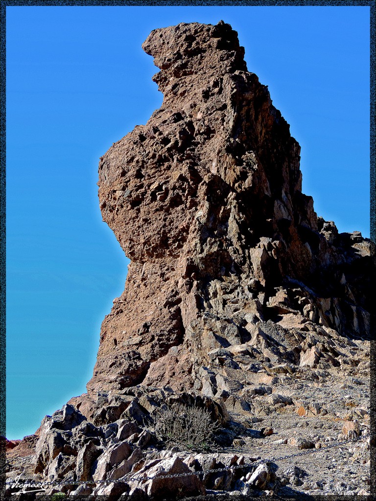 Foto: 131220-109 TEIDE - Tenerife (Santa Cruz de Tenerife), España