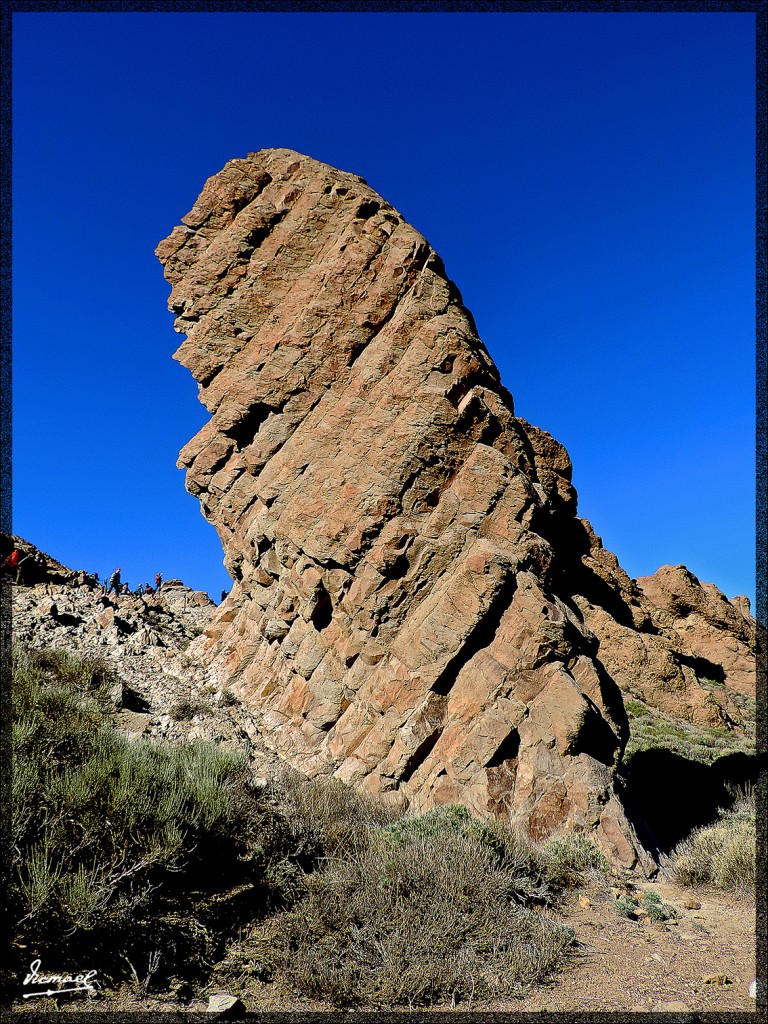 Foto: 131220-110 TEIDE - Tenerife (Santa Cruz de Tenerife), España