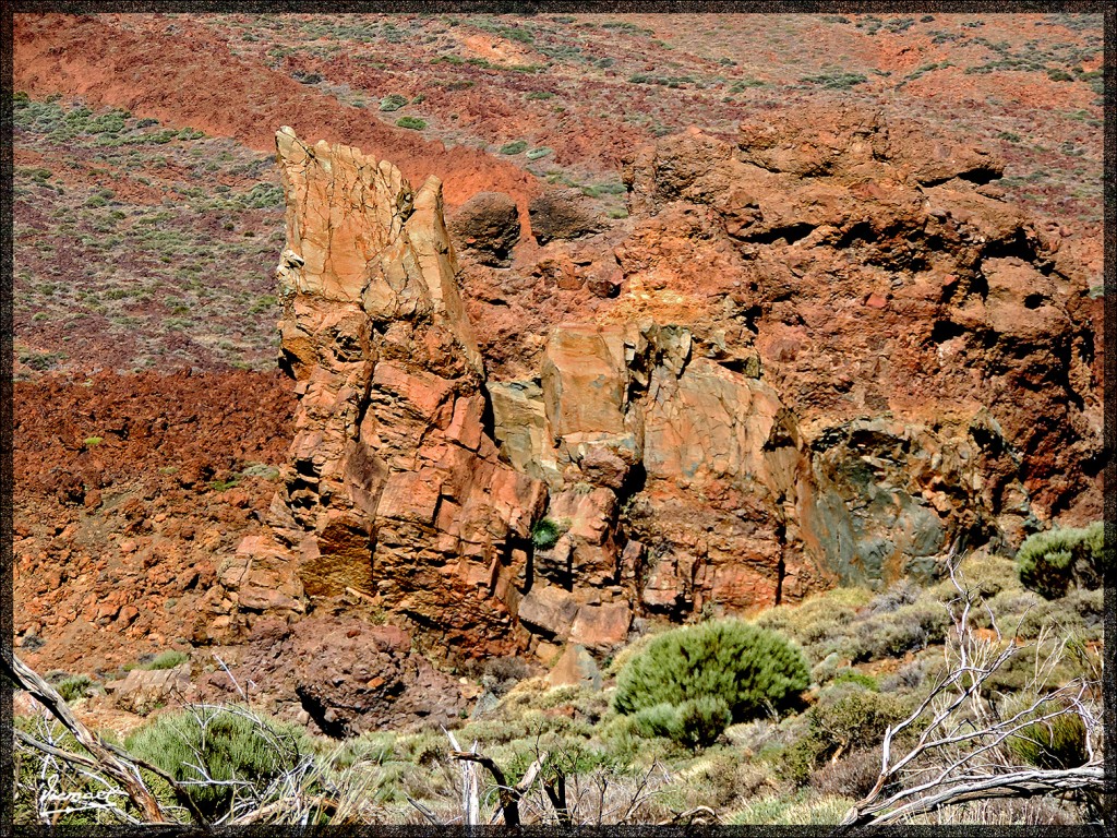 Foto: 131220-127 TEIDE - Tenerife (Santa Cruz de Tenerife), España
