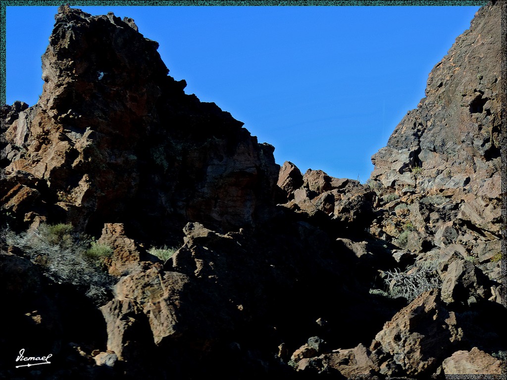 Foto: 131220-139 TEIDE - Tenerife (Santa Cruz de Tenerife), España