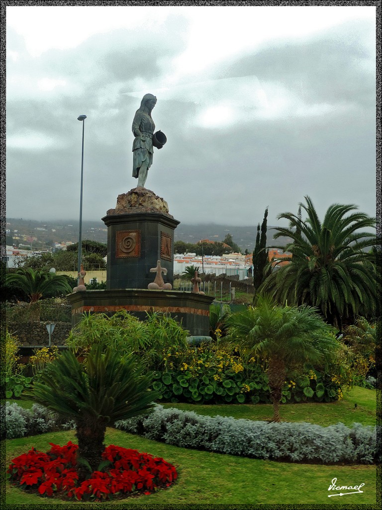 Foto: 131220-150 TEIDE, RUTA VUELTA - Tenerife (Santa Cruz de Tenerife), España