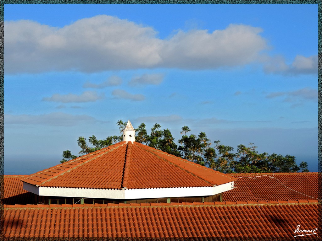 Foto: 131221-001 ICOD DE LOS VINOS - Tenerife (Santa Cruz de Tenerife), España