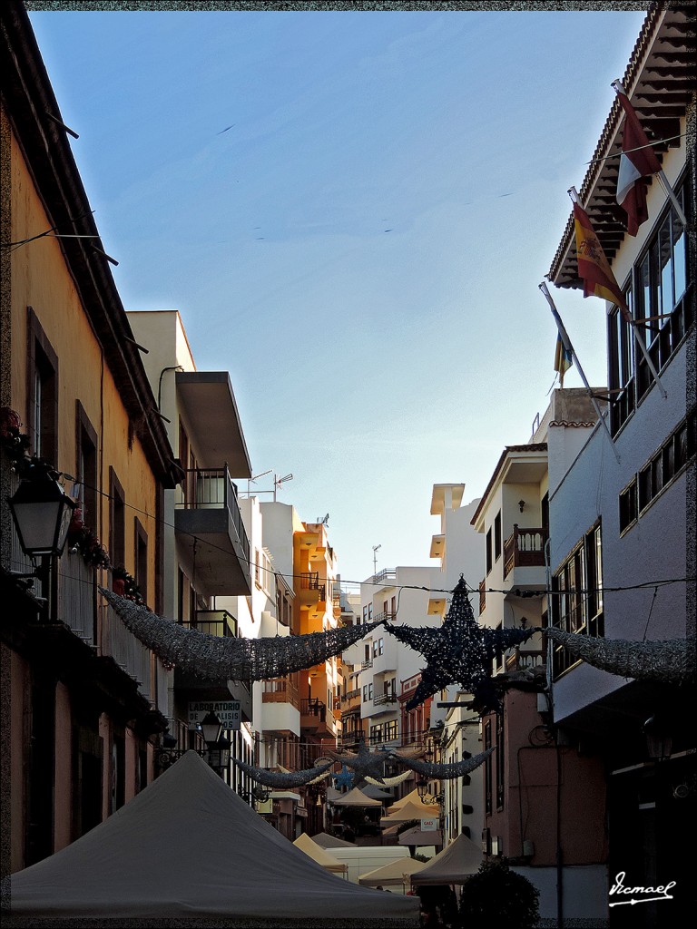 Foto: 131221-005 ICOD DE LOS VINOS - Tenerife (Santa Cruz de Tenerife), España