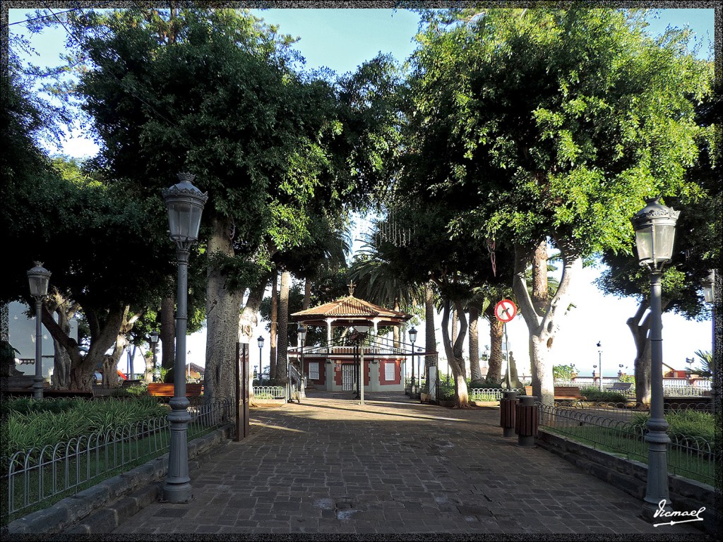 Foto: 131221-006 ICOD DE LOS VINOS - Tenerife (Santa Cruz de Tenerife), España