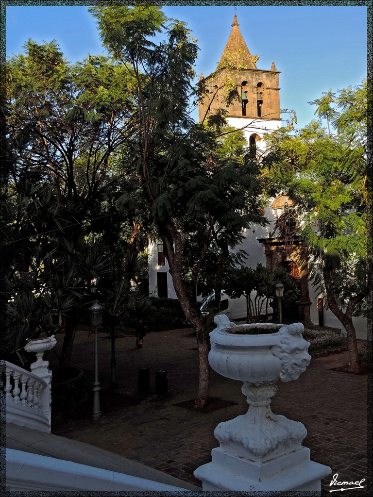 Foto: 131221-007 ICOD DE LOS VINOS - Tenerife (Santa Cruz de Tenerife), España