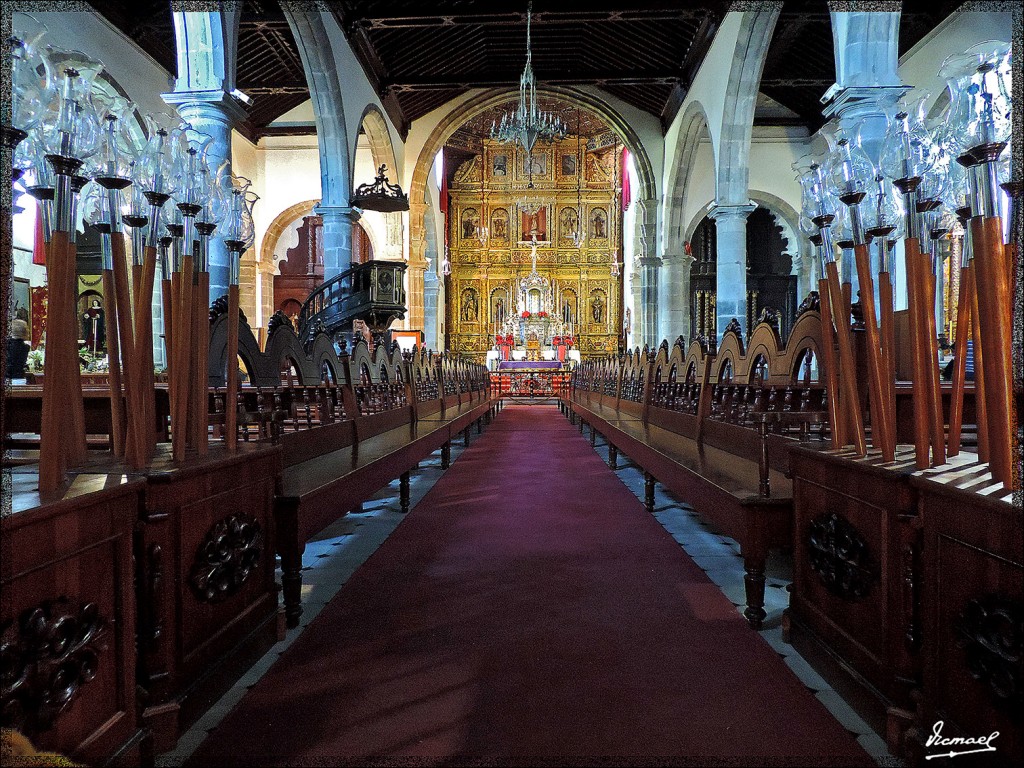 Foto: 131221-015 ICOD DE LOS VINOS - Tenerife (Santa Cruz de Tenerife), España