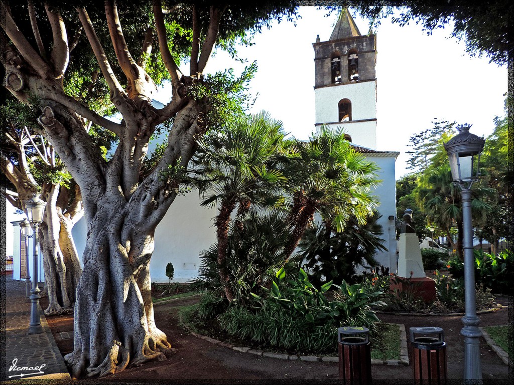 Foto: 131221-039 ICOD DE LOS VINOS - Tenerife (Santa Cruz de Tenerife), España