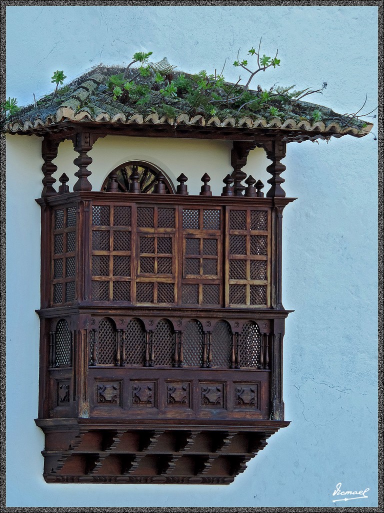 Foto: 131221-043 ICOD DE LOS VINOS - Tenerife (Santa Cruz de Tenerife), España
