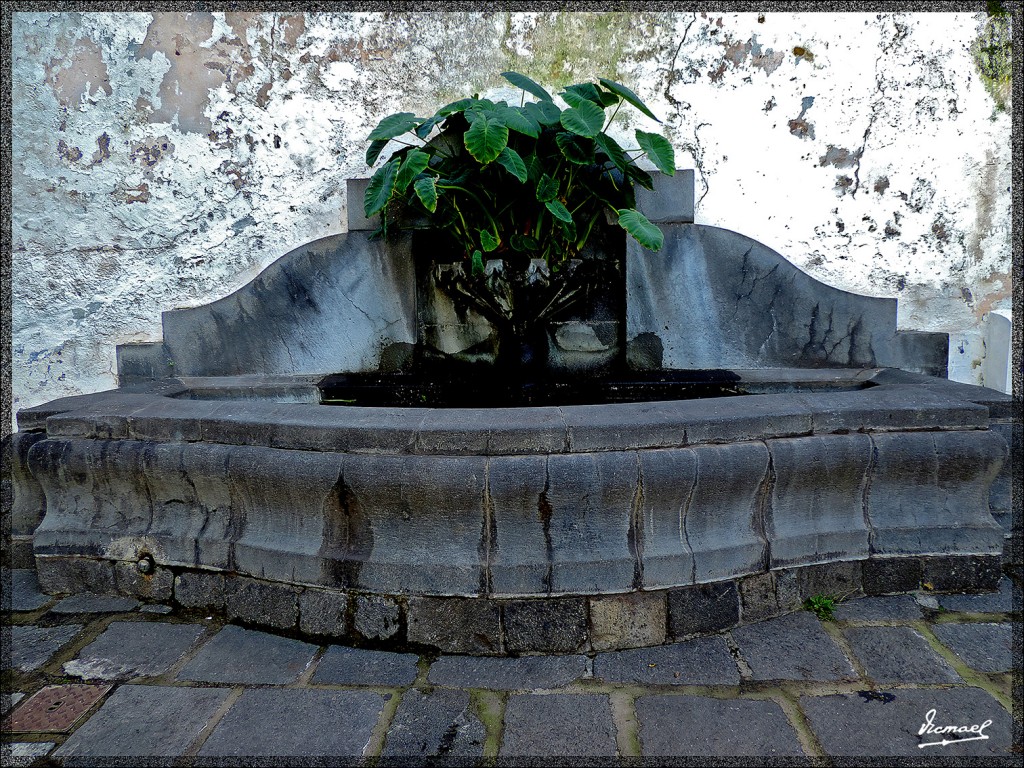 Foto: 131221-049 ICOD DE LOS VINOS - Tenerife (Santa Cruz de Tenerife), España