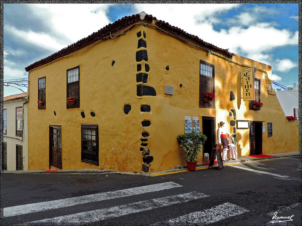 Foto: 131221-059 ICOD DE LOS VINOS - Tenerife (Santa Cruz de Tenerife), España
