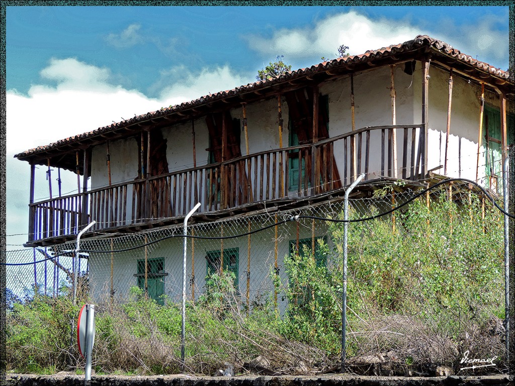 Foto: 131221-063 ICOD DE LOS VINOS - Tenerife (Santa Cruz de Tenerife), España