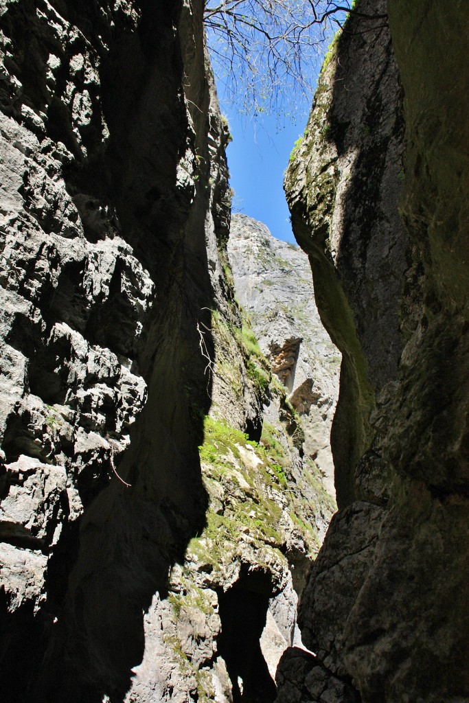Foto: Desfiladero de la Yecla - Santo Domingo de Silos (Burgos), España