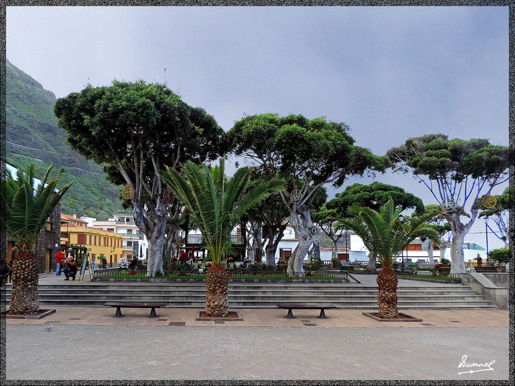 Foto: 131221-081 GARACHICO - Tenerife (Santa Cruz de Tenerife), España