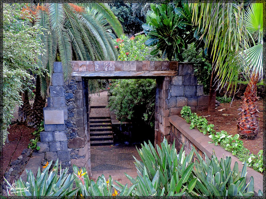 Foto: 131221-101 GARACHICO - Tenerife (Santa Cruz de Tenerife), España