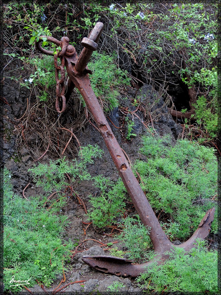 Foto: 131221-104 GARACHICO - Tenerife (Santa Cruz de Tenerife), España
