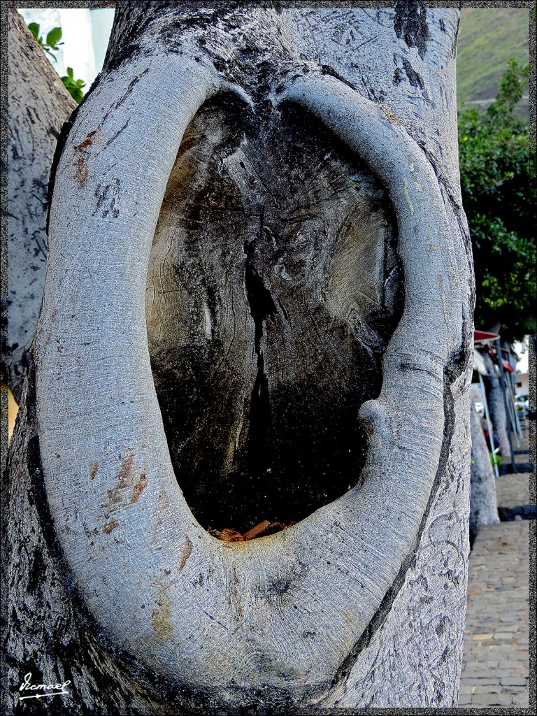 Foto: 131221-119 GARACHICO - Tenerife (Santa Cruz de Tenerife), España