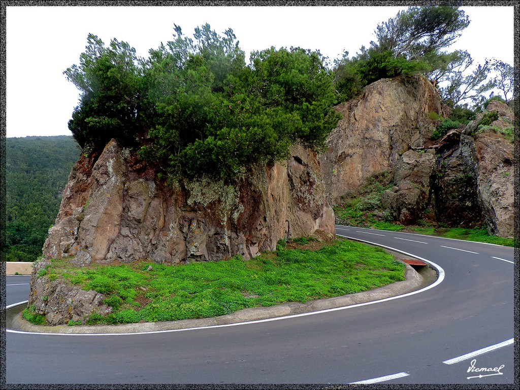 Foto: 131222-007 MONTE DE MERCEDES - Tenerife (Santa Cruz de Tenerife), España