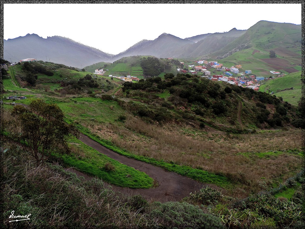 Foto: 131222-008 MONTE DE MERCEDES - Tenerife (Santa Cruz de Tenerife), España