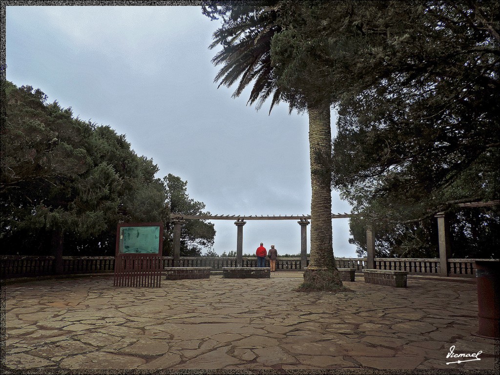 Foto: 131222-010 MONTE DE MERCEDES - Tenerife (Santa Cruz de Tenerife), España