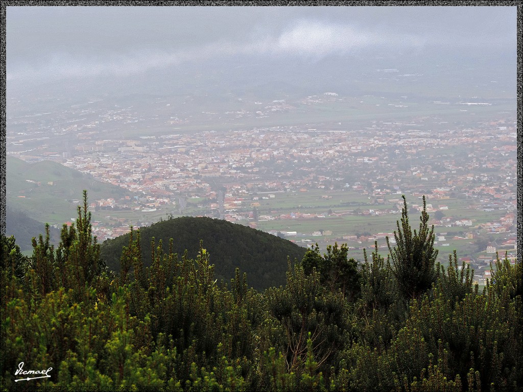 Foto: 131222-014 MONTE DE MERCEDES - Tenerife (Santa Cruz de Tenerife), España