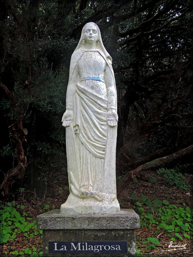 Foto: 131222-017 MONTE DE MERCEDES - Tenerife (Santa Cruz de Tenerife), España