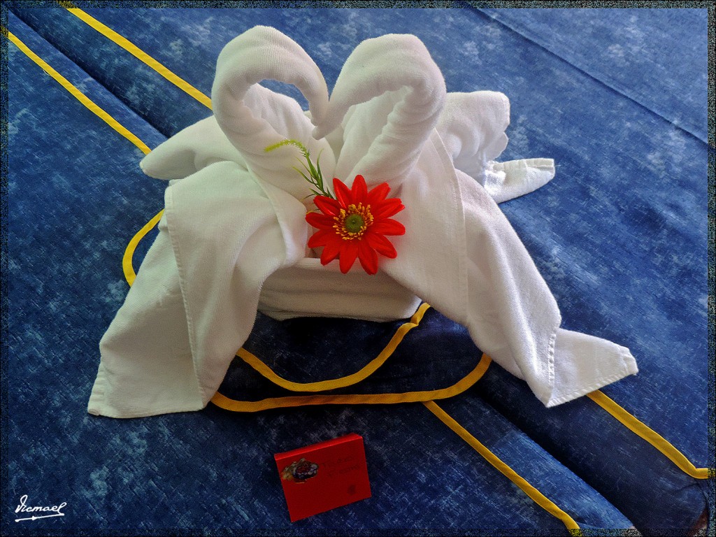 Foto: 131222-175 PANORAMICA GARDEN - Tenerife (Santa Cruz de Tenerife), España