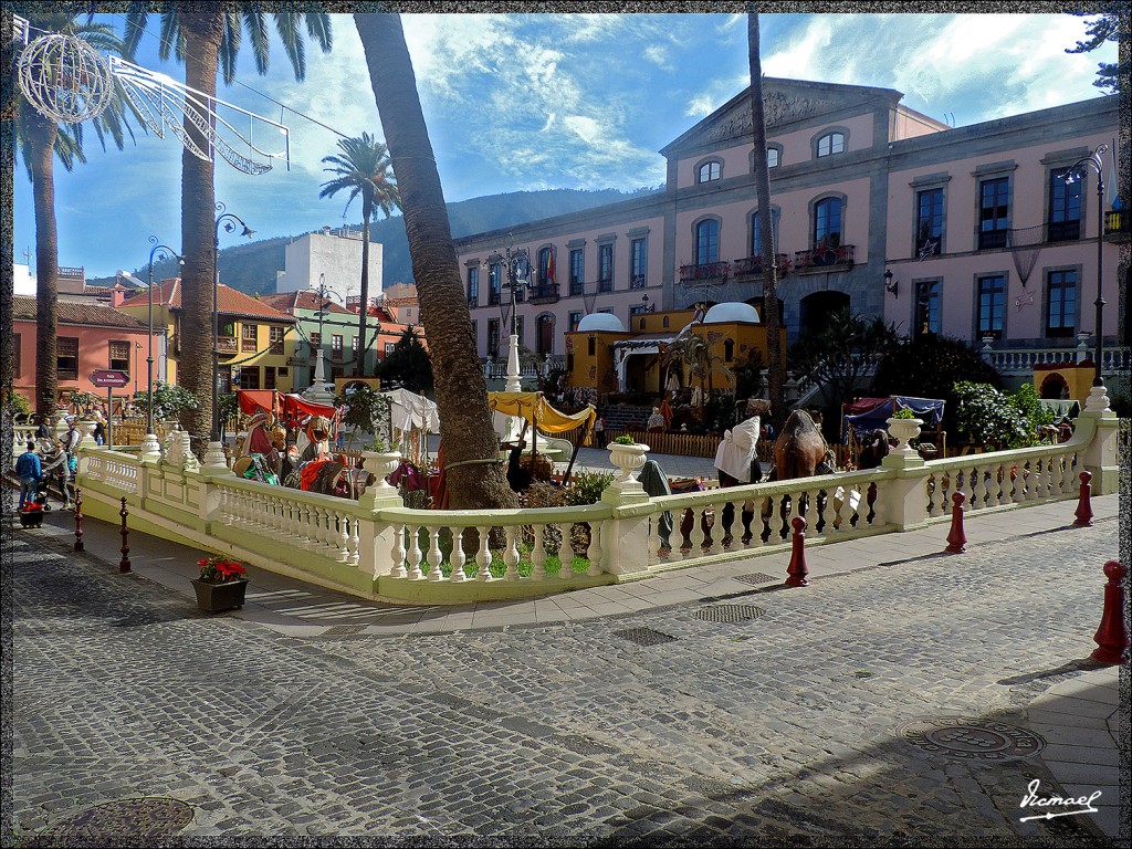 Foto: 131223-016 LA OROTAVA - Tenerife (Santa Cruz de Tenerife), España