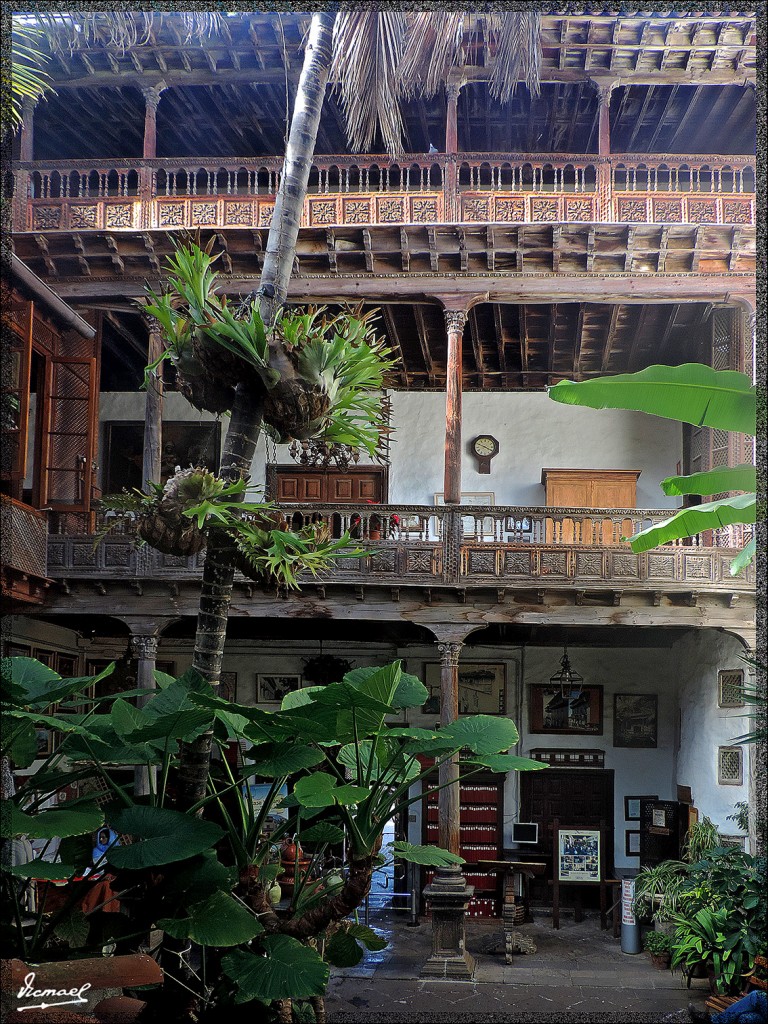 Foto: 131223-021 LA OROTAVA - Tenerife (Santa Cruz de Tenerife), España