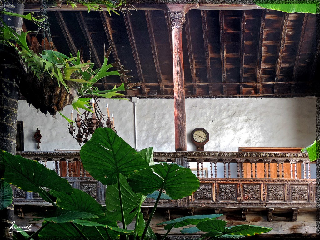 Foto: 131223-025 LA OROTAVA - Tenerife (Santa Cruz de Tenerife), España