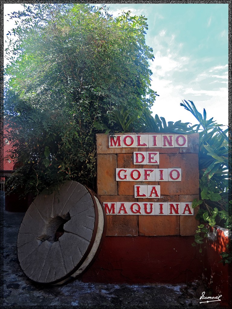 Foto: 131223-048 LA OROTAVA - Tenerife (Santa Cruz de Tenerife), España