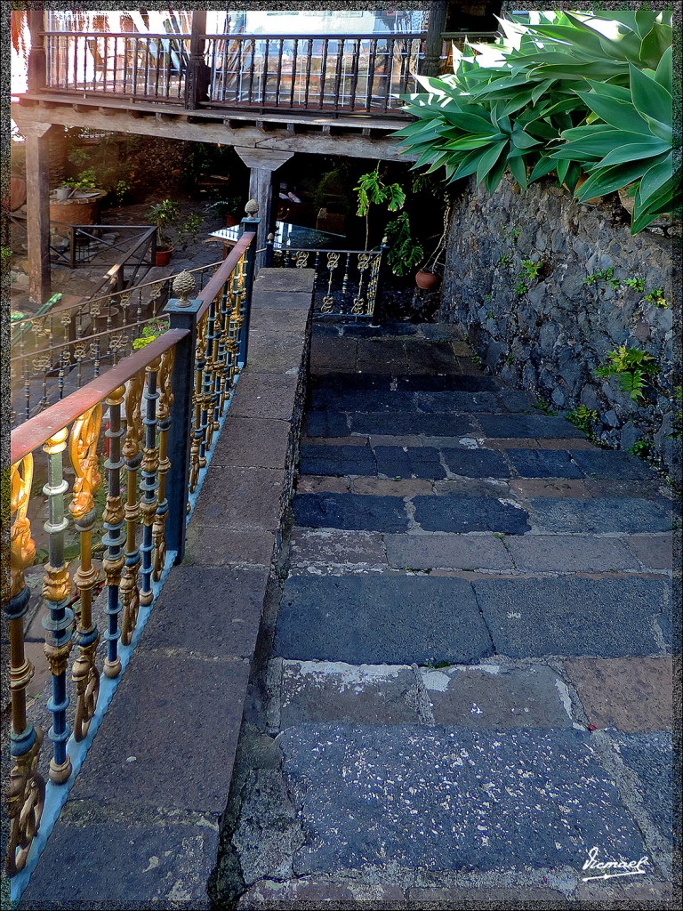 Foto: 131223-052 LA OROTAVA - Tenerife (Santa Cruz de Tenerife), España