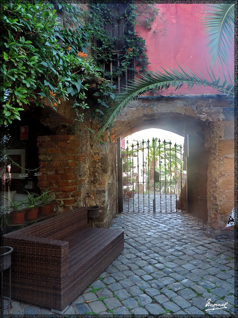 Foto: 131223-053 LA OROTAVA - Tenerife (Santa Cruz de Tenerife), España